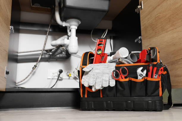 Best Emergency Plumbing Repair  in Pineland, TX