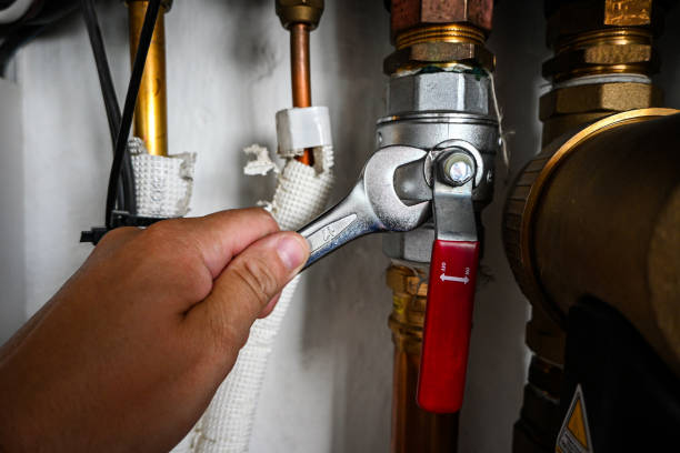 Best Plumbing Repair Near Me  in Pineland, TX